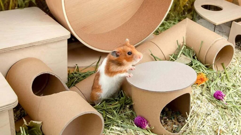 how to make hamster toys out of cardboard